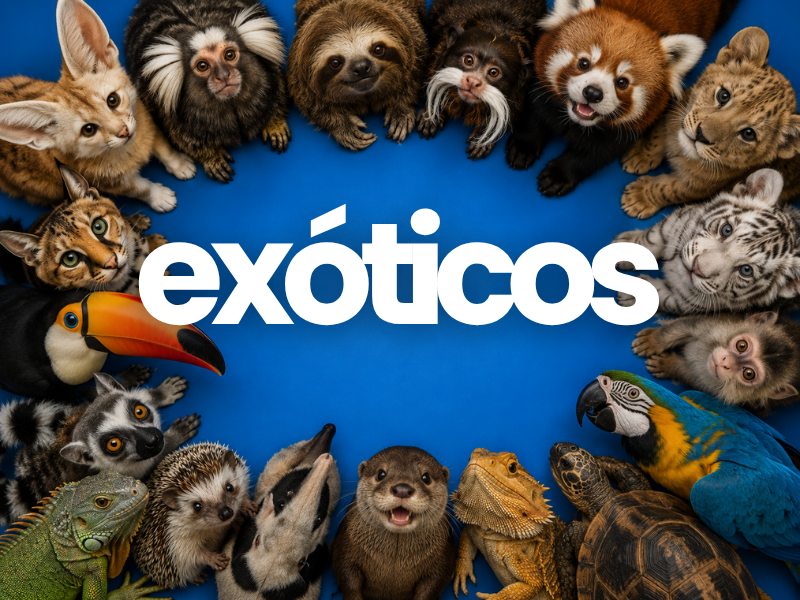 Medicamentos para animales exóticos
